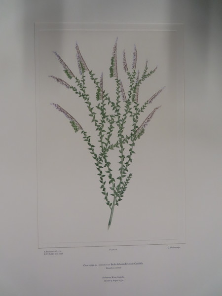 FDA-E.2916_1_21-2016-A image FDA-E.2916_1_21-2016-A