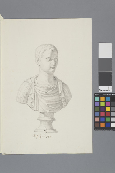 ECL-Bm.8_137-2013 image ECL-Bm.8_137-2013