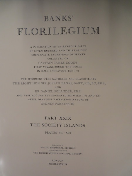 image FDA-E.2916_29_1-2016