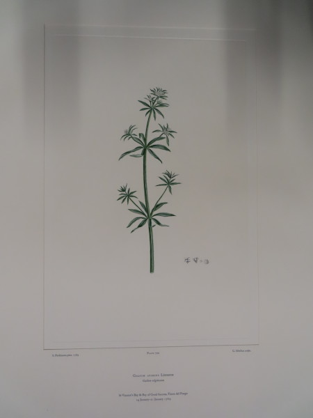 image FDA-E.2916_33_9-2016