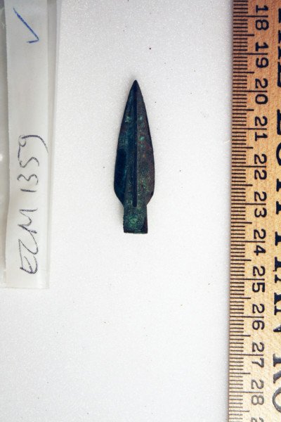 ECM.1359-2010-A image ECM.1359-2010-A