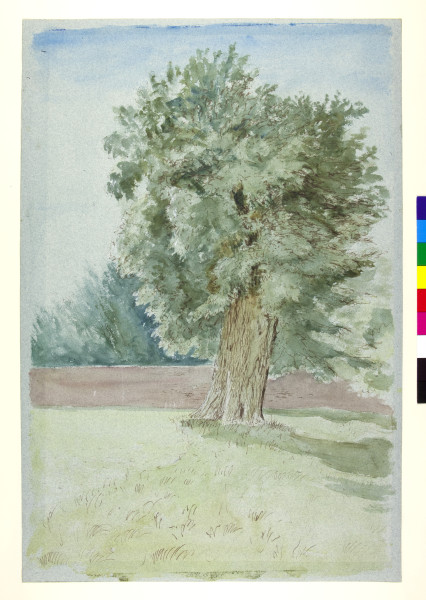 FDA-D.800-2013-A image FDA-D.800-2013-A