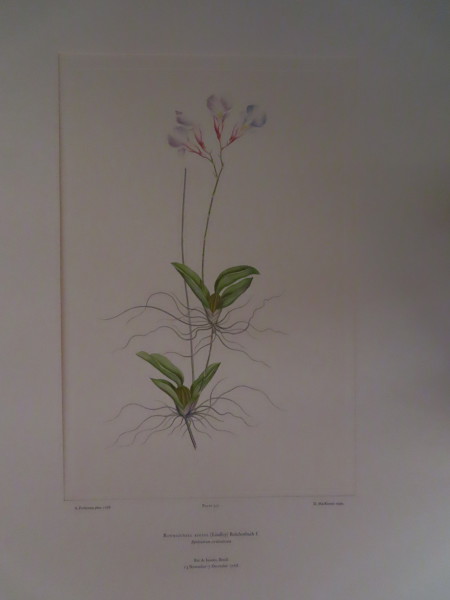 FDA-E.2916_16_23-2016-A image FDA-E.2916_16_23-2016-A