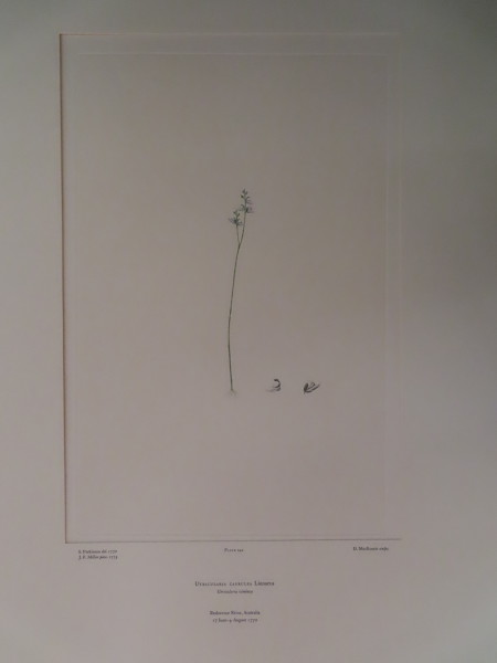 image FDA-E.2916_11_19-2016