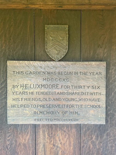 image FDA-A.2481-2024-C