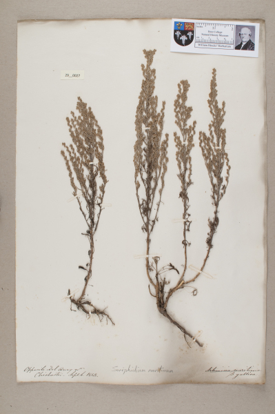 NHM_HH_29.27-2010 image NHM_HH_29.27-2010