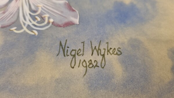 FDA-D.1787-2025-A image FDA-D.1787-2025-A