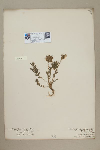 NHM_HH_15.7-2010 image NHM_HH_15.7-2010