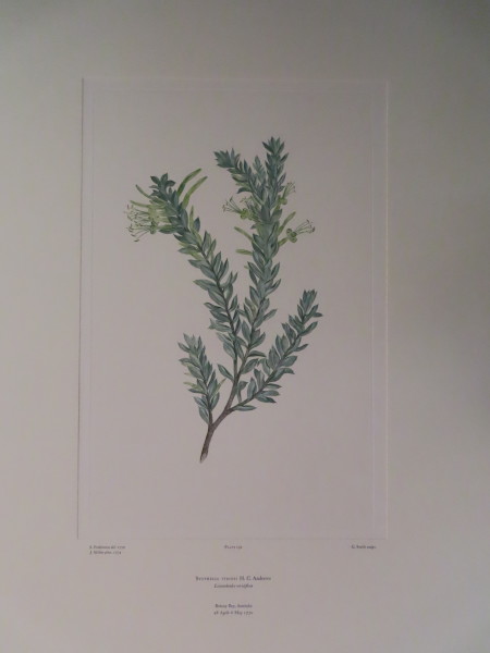 image FDA-E.2916_9_14-2016