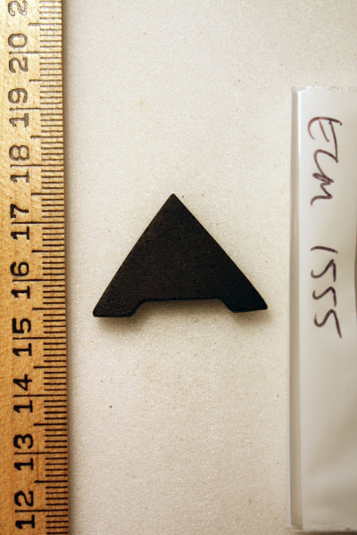 ECM.1555-2010-A image ECM.1555-2010-A