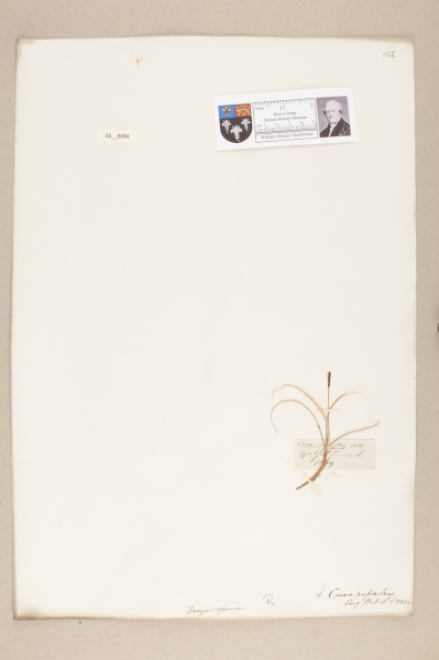 NHM_HH_33.84-2010 image NHM_HH_33.84-2010