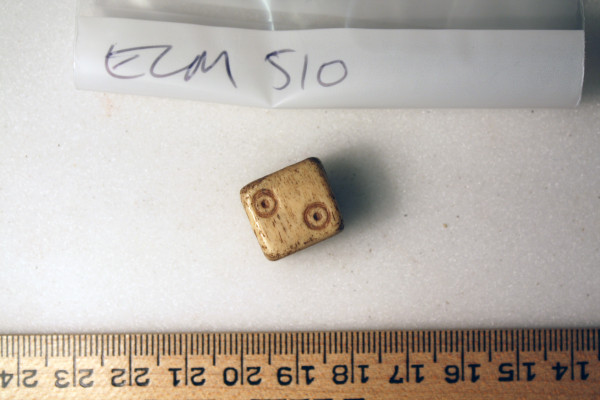 ECM.510-2010-A image ECM.510-2010-A