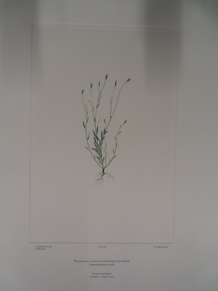 FDA-E.2916_24_10-2016 image FDA-E.2916_24_10-2016