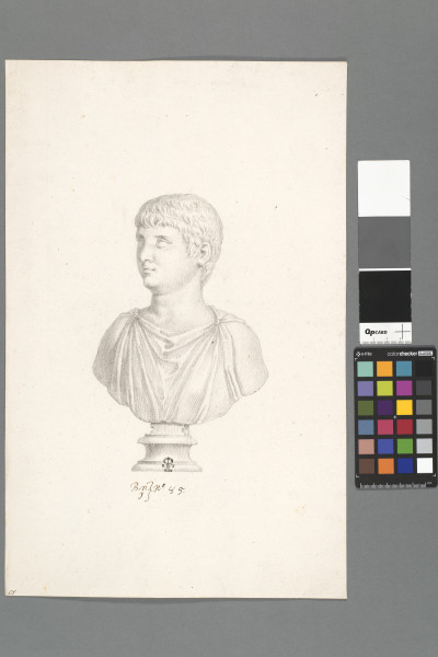 ECL-Bn.1_85-2013 image ECL-Bn.1_85-2013