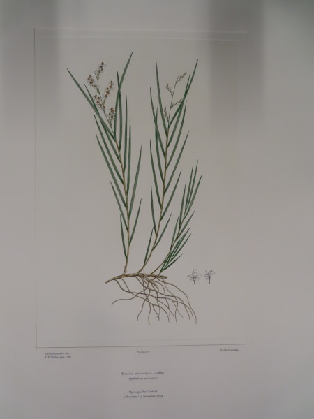 image FDA-E.2916_26_16-2016