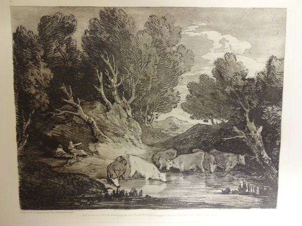 FDA-E.2555_3-2016 image FDA-E.2555_3-2016