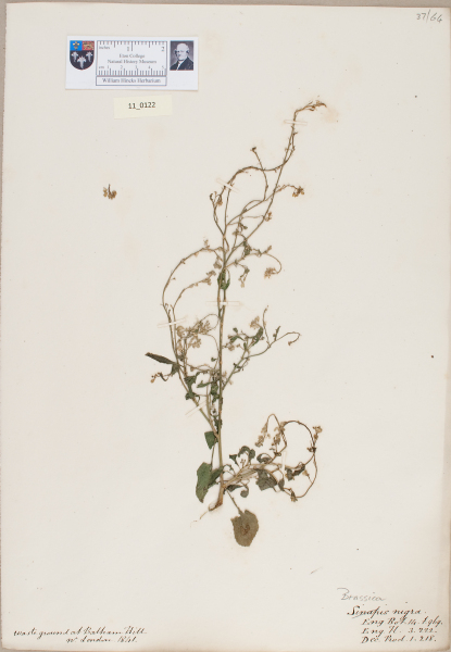 NHM_HH_11.122-2010 image NHM_HH_11.122-2010