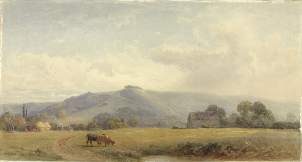 FDA-D.291-2010 image FDA-D.291-2010