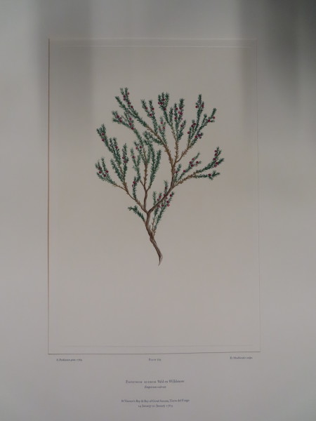 FDA-E.2916_34_16-2016-A image FDA-E.2916_34_16-2016-A