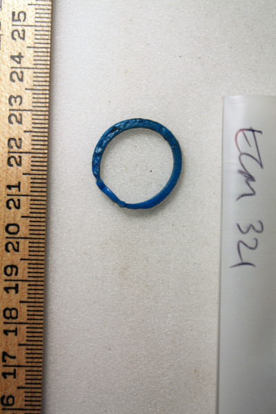 ECM.321-2010-B image ECM.321-2010-B