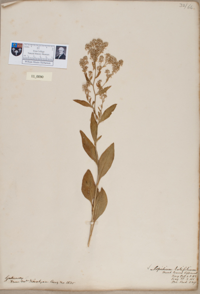 NHM_HH_11.90-2010 image NHM_HH_11.90-2010