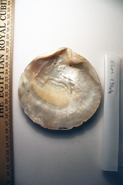 ECM.1844-2010-B image ECM.1844-2010-B