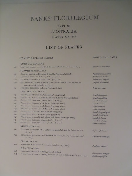 image FDA-E.2916_11_3-2016