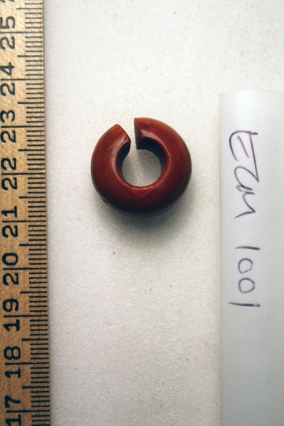 ECM.1001-2010-A image ECM.1001-2010-A