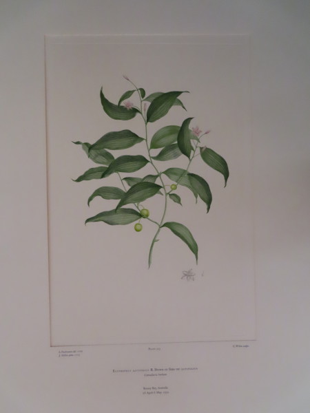 image FDA-E.2916_15_11-2016-A