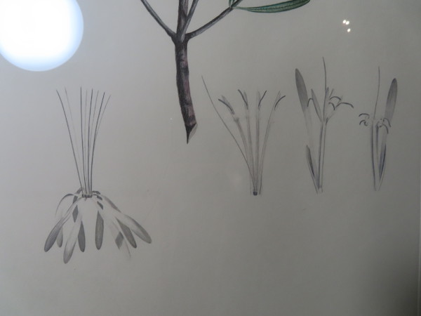 FDA-E.2916_13_9-2016-B image FDA-E.2916_13_9-2016-B