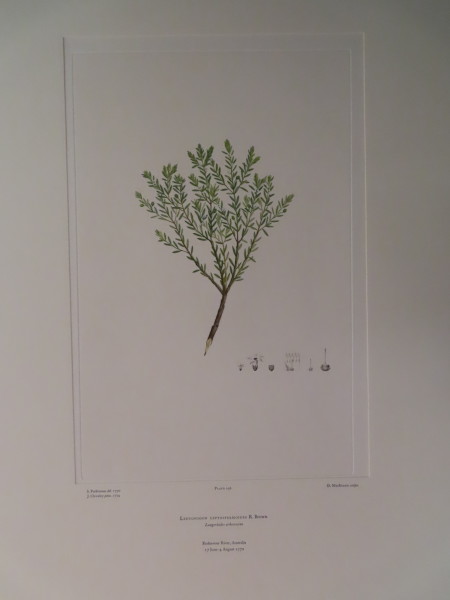 image FDA-E.2916_9_19-2016