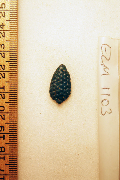 ECM.1103-2010-A image ECM.1103-2010-A