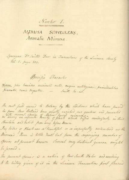 NHM-HH.1_3-2014 image NHM-HH.1_3-2014