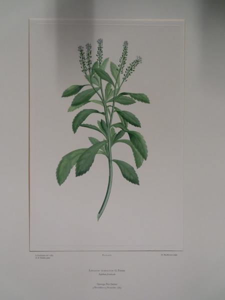 image FDA-E.2916_20_12-2016