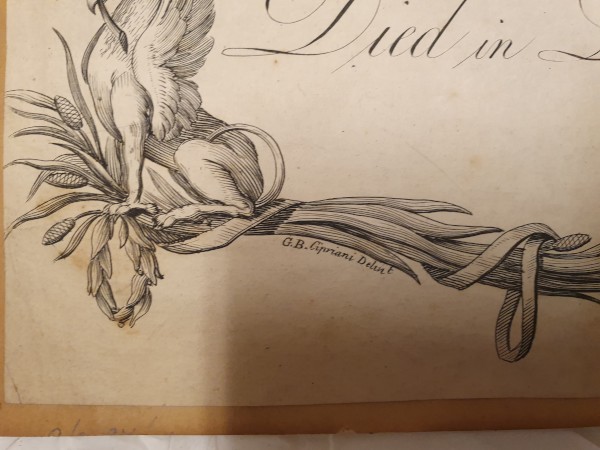 FDA-E.3271-2024-C image FDA-E.3271-2024-C