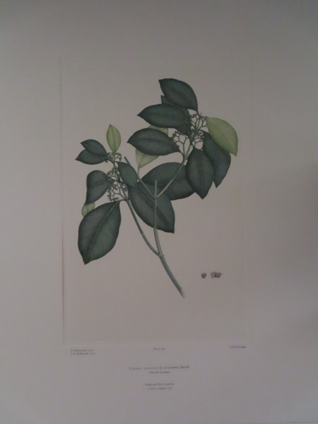 image FDA-E.2916_5_17-2016