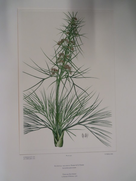 image FDA-E.2916_22_14-2016