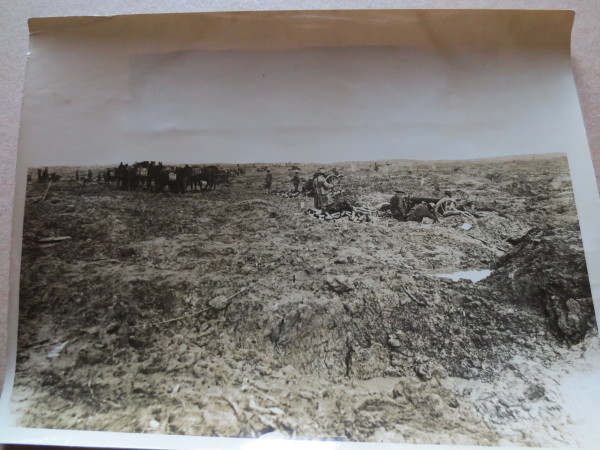 ECL-O.146_7-2014 image ECL-O.146_7-2014