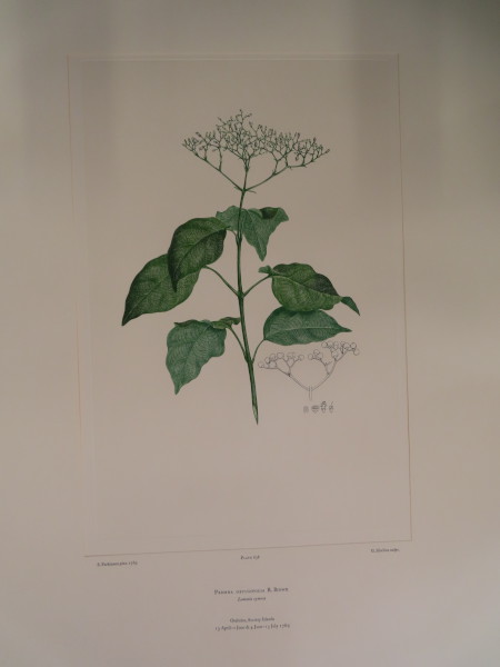 image FDA-E.2916_30_13-2016-A