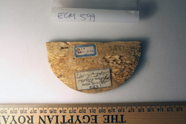 ECM.599-2010-B image ECM.599-2010-B