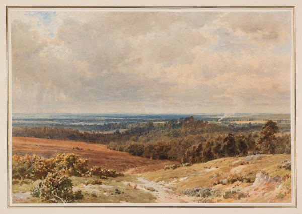 FDA-D.1710-2023-cr image FDA-D.1710-2023-cr