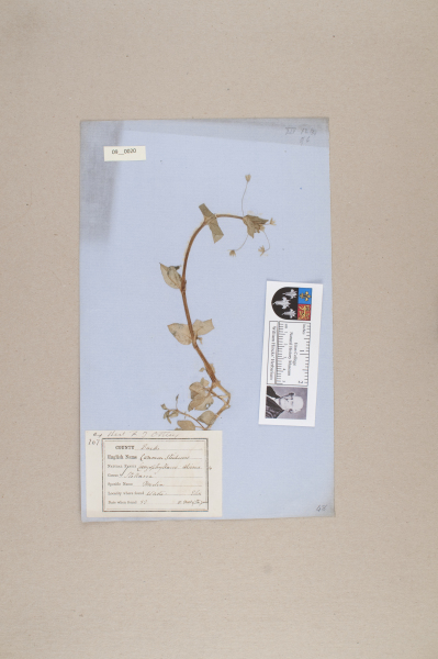 NHM_HH_9.20-2010 image NHM_HH_9.20-2010