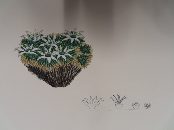 image FDA-E.2916_32_15-2016-A