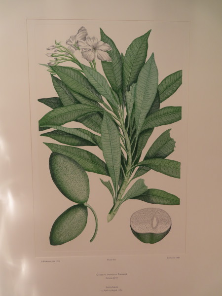 image FDA-E.2916_29_19-2016