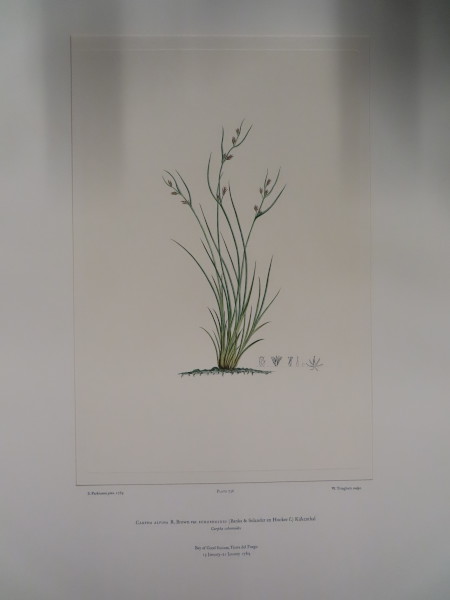 FDA-E.2916_34_23-2016-A image FDA-E.2916_34_23-2016-A