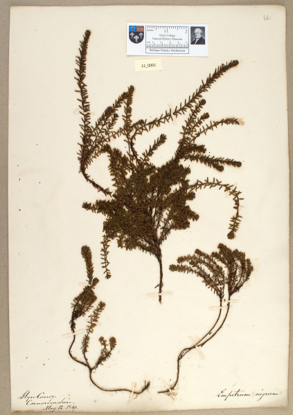 NHM_HH_12.1-2010 image NHM_HH_12.1-2010