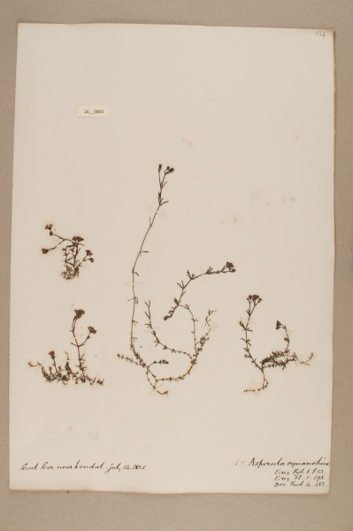 NHM_HH_26.63-2010 image NHM_HH_26.63-2010