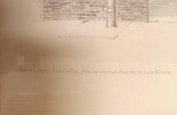 FDA-E.3311-2025-B image FDA-E.3311-2025-B