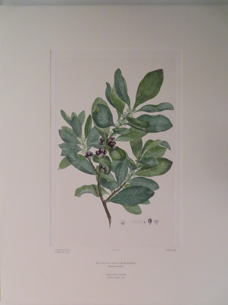 FDA-E.2916_9_24-2016 image FDA-E.2916_9_24-2016