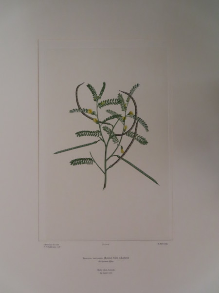 FDA-E.2916_3_25-2016-A image FDA-E.2916_3_25-2016-A